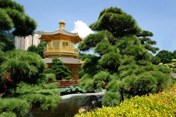 El pabellón de oro oriental de la perfección absoluta en Nan Lian Garden, Chi Lin Nunnery, Hong Kong — Foto de Stock