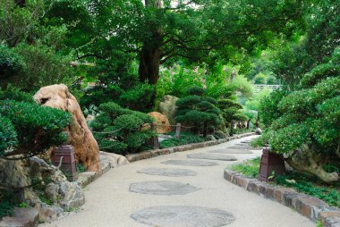 Taş yol her iki tarafında bir ağaç