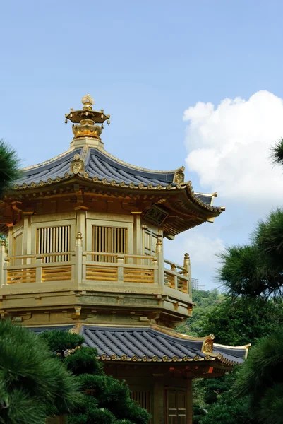 Le pavillon oriental en or d'une perfection absolue dans le jardin de Nan Lian, Nunnery de Chi Lin, Hong Kong — Photo