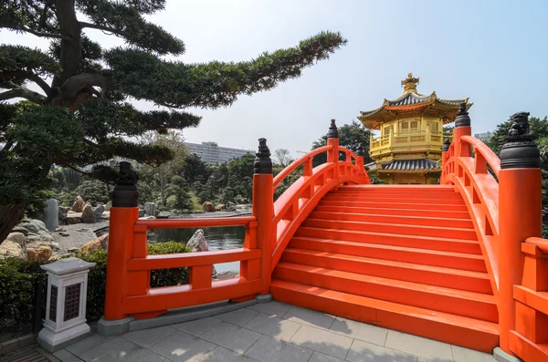 El pabellón de oro oriental de la perfección absoluta en Nan Lian Garden, Chi Lin Nunnery, Hong Kong —  Fotos de Stock