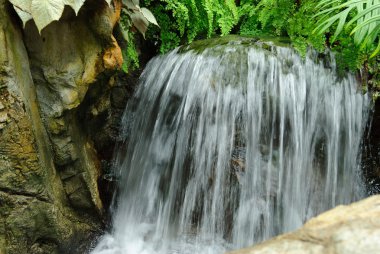 Hong Kong kısa ve küçük şelale
