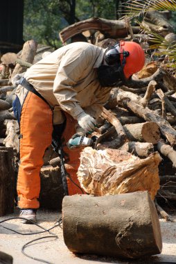 Ormanın içinde işte profesyonel oduncu