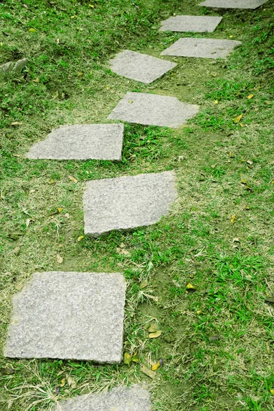 Caminho Jardim Com Grama Crescendo Entre Pedras — Fotografia de Stock