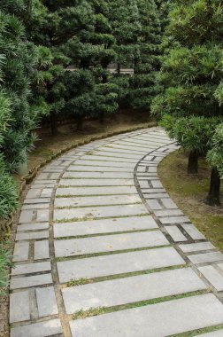 Her iki tarafında çam ağacı ile taş yol