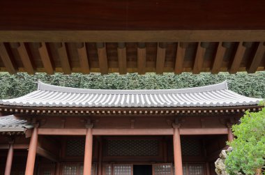 Çin Tapınağı ve çatı