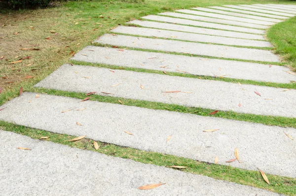 Каменный Путь Траве — стоковое фото