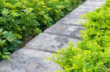 Bahçedeki taş geçit.