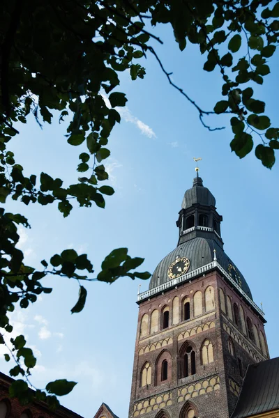 Riga katedral kule çan