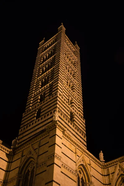Bell tower i Sienas katedral på natten — Stockfoto