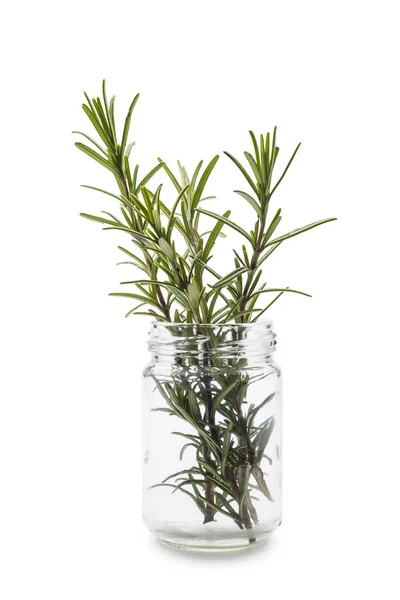 Rosemary Bunch Glass Jar White Background — Fotografia de Stock