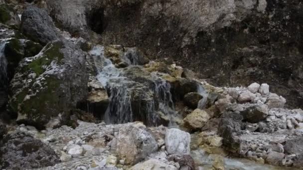 Pequeña Cascada Agua Pura Las Montañas Dolomitas — Vídeo de stock