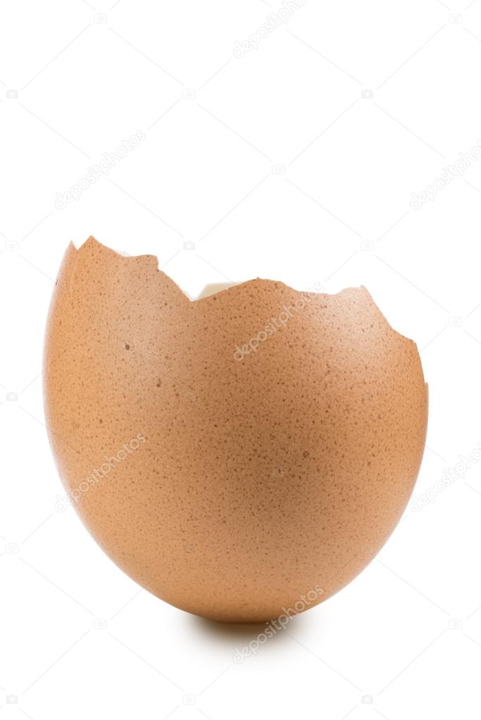 broken egg shell, closeup on white background– 图库图片