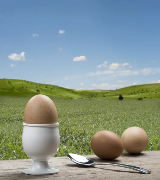Eieren — Stockfoto