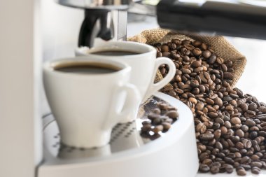 Kahve çekirdeği