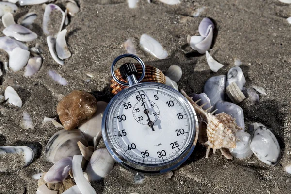 Sint-jakobsschelpen en Chronometer — Stockfoto