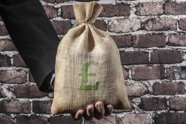 Green Pound In Hand — Stock Photo, Image
