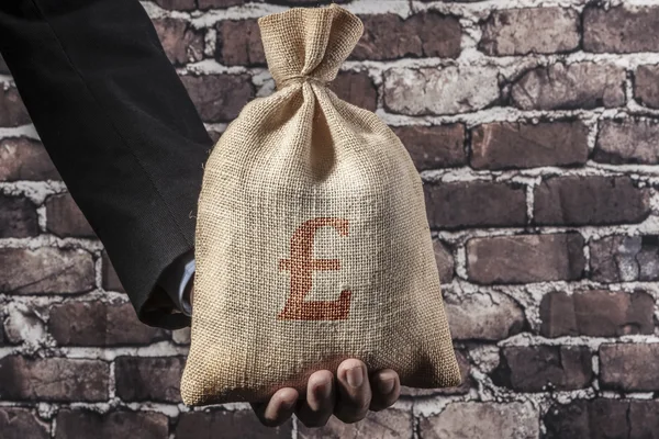 Red Pound In Hand — Stock Photo, Image