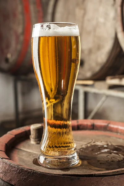 Copo de cerveja única — Fotografia de Stock