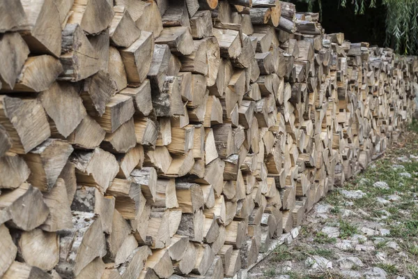 Madera en el bosque — Foto de Stock