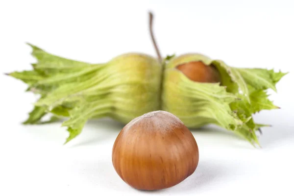 Hazelnut with Green — Stock Photo, Image