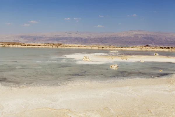 Dead Sea — Stock Photo, Image