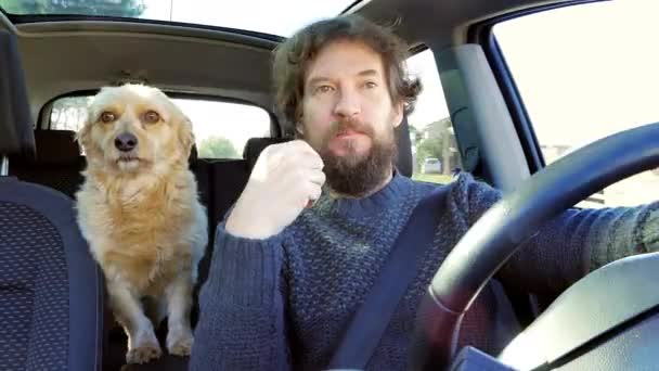 Hipster hombre hablando en serio con su perro coche de conducción 4K — Vídeos de Stock