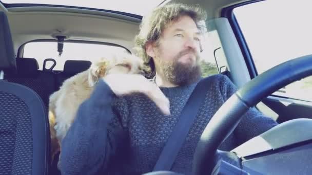Šťastný muž s plnovousem, tanec se psem v autě baví retro vzhled — Stock video