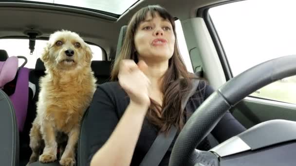 Hermosa mujer conduciendo coche bailando con perro 4K — Vídeo de stock