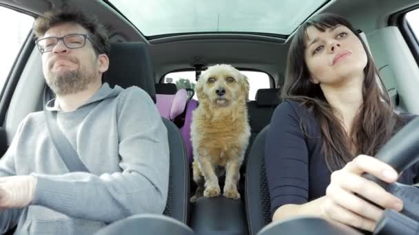 Pareja bailando y cantando con perro conduciendo coche cámara lenta — Vídeos de Stock