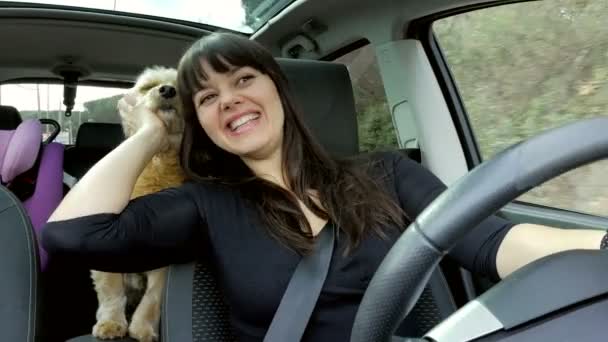 Donna felice guida auto parlando con il cane 4K — Video Stock