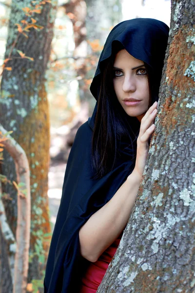 Bella fantasia donna arguzia cappuccio nero nel bosco — Foto Stock