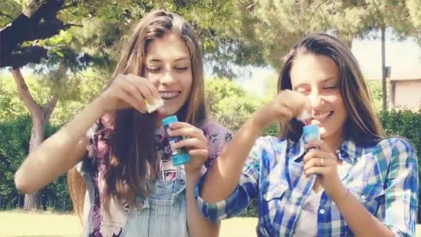Молоді жінки з мильними бульбашками — стокове відео