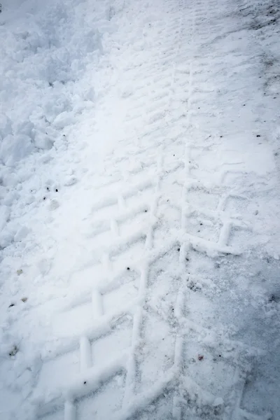 Takoz karda — Stok fotoğraf