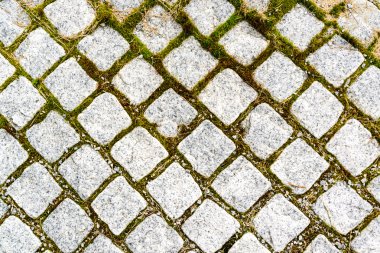 Arnavut kaldırımlı yol arasında yeşil çim ile