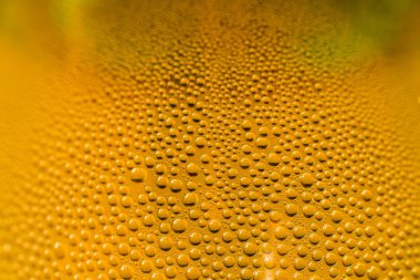 Bir şişe veya cam sarı turuncu damla