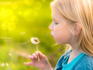 Bir karahindiba üfleme