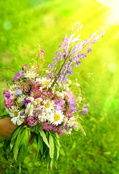 Wilde bloemen in een bouqet — Stockfoto