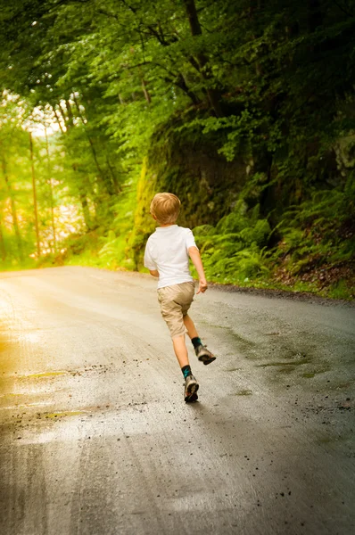 Jonge jongen lopen in het bos — Stockfoto