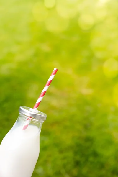Palack tej zöld háttérrel — Stock Fotó