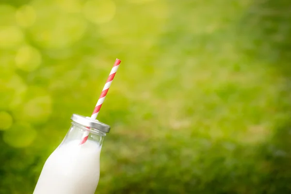 Palack tej zöld háttérrel — Stock Fotó