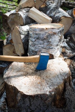 Kesme kütüğünün tepesindeki eski mavi balta. Büyük huş ağaçları etraflarında doğranmayı bekliyor..