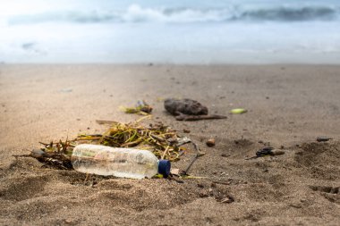 Beahc 'ın üzerindeki çöp. Plastik şişe kumsalda. Arka planda mavi deniz.