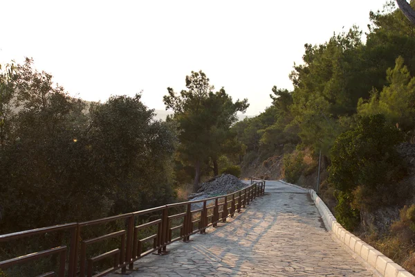 Pathway of Balcova forest  sun — Stock Photo, Image