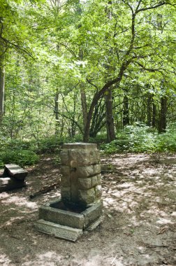 Eski su dokunun Vitosha orman taze kaynak suyu içme Bulgaristan