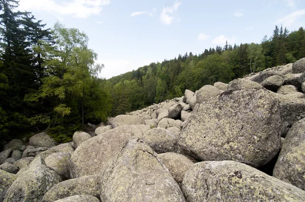 Камень-река Большие гранитные камни на Скалистой реке Национальный парк Витоша, Болгария — стоковое фото
