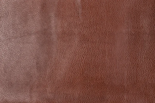 Macro texture of genuine leather — Stock Photo, Image