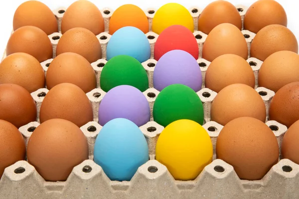 Huevos Color Natural Huevos Conservados Colores Una Caja Huevos — Foto de Stock