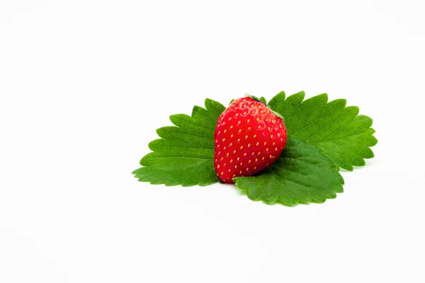 Eine Leuchtend Rote Erdbeere Und Grüne Blätter Auf Weißem Hintergrund — Stockfoto
