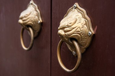 Çin kapı tokmağı, Aslan yüzlü pirinç kapı kolları yan detayları kapatır