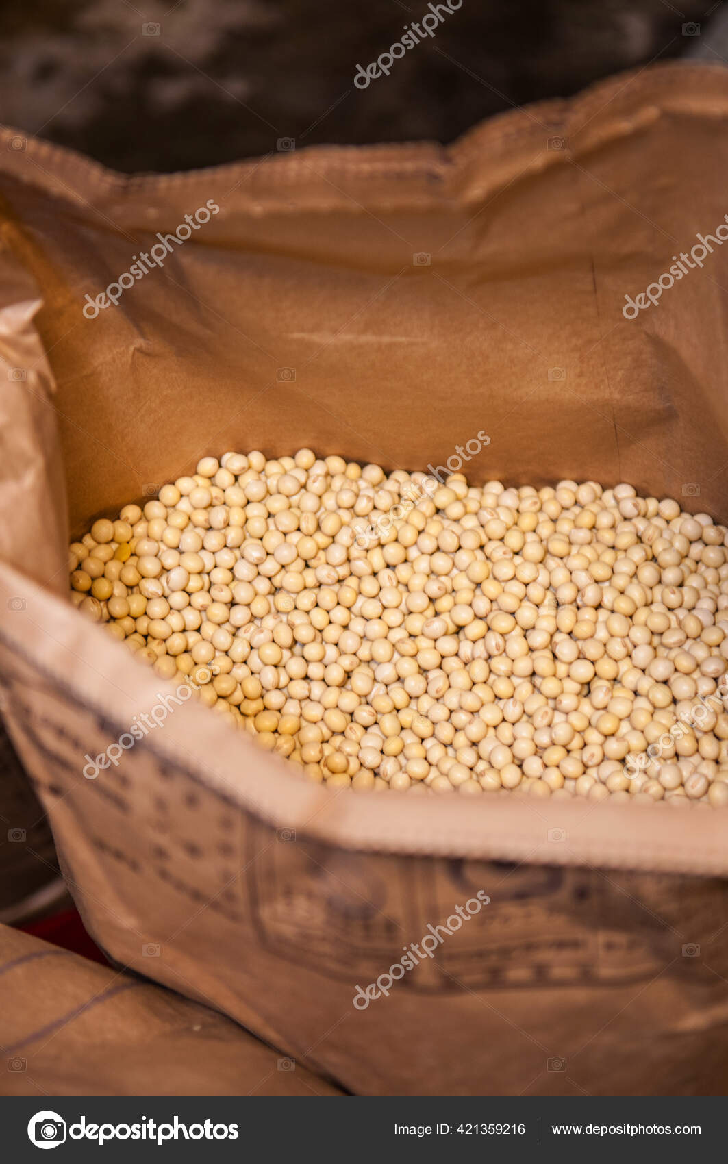 Bag of Soybeans – LANFarms Commerce